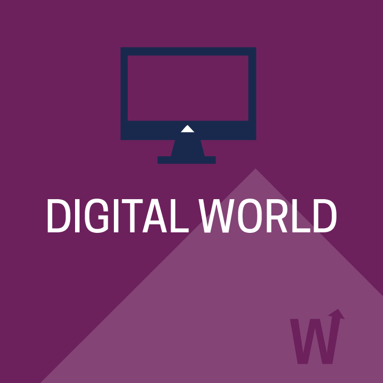 Foundations of Digital Transformation in Workforce Development